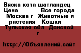 Вяска кота шатландец › Цена ­ 1 000 - Все города, Москва г. Животные и растения » Кошки   . Тульская обл.,Донской г.